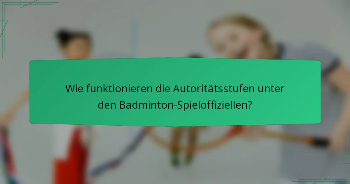 Wie funktionieren die Autoritätsstufen unter den Badminton-Spieloffiziellen?